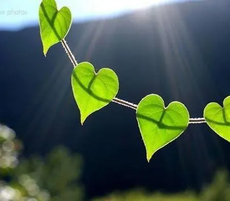 Ninnujaerve Private Casa vacanze *